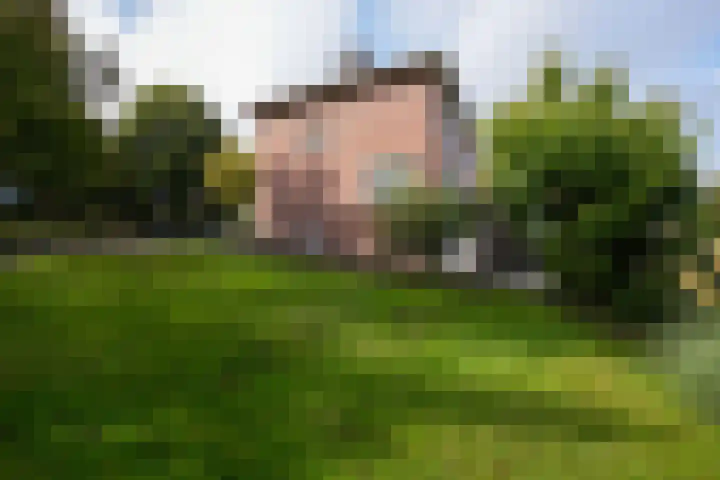 Tentstraat 73 Vaals thumbnail 24