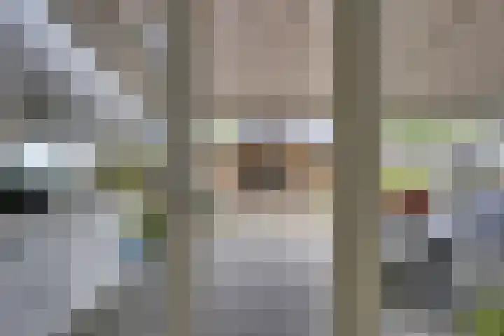 Tentwagendrift 24 Nieuwegein thumbnail 12