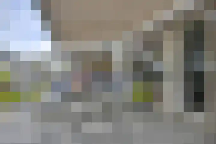 Tentwagendrift 24 Nieuwegein thumbnail 14