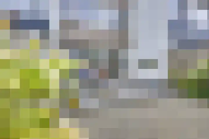 Tentwagendrift 24 Nieuwegein thumbnail 18