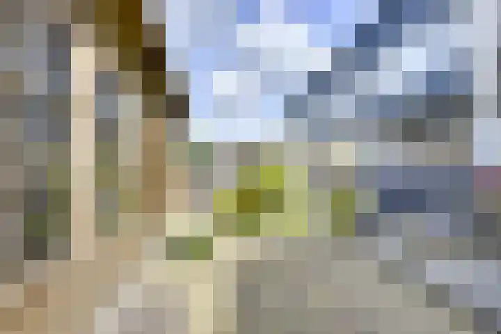 Tentwagendrift 24 Nieuwegein thumbnail 19