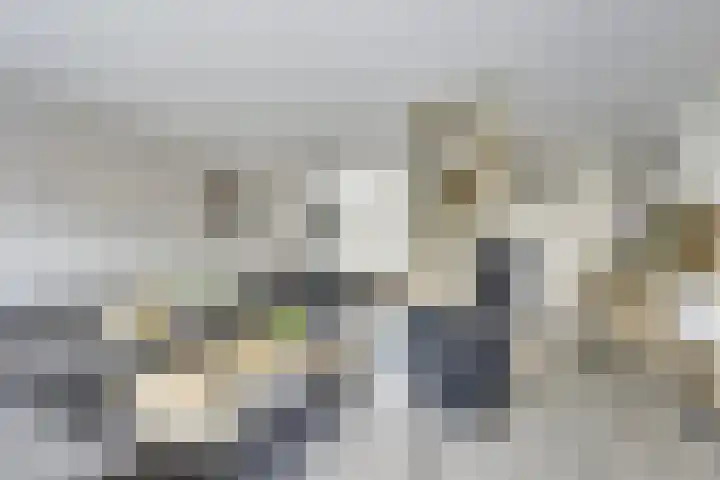 Tentwagendrift 24 Nieuwegein thumbnail 21