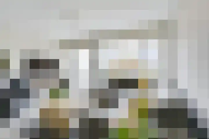 Tentwagendrift 24 Nieuwegein thumbnail 22