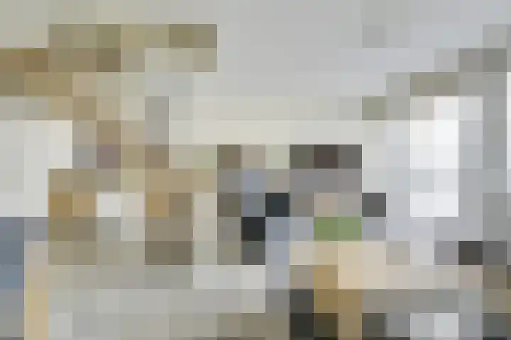 Tentwagendrift 24 Nieuwegein thumbnail 23