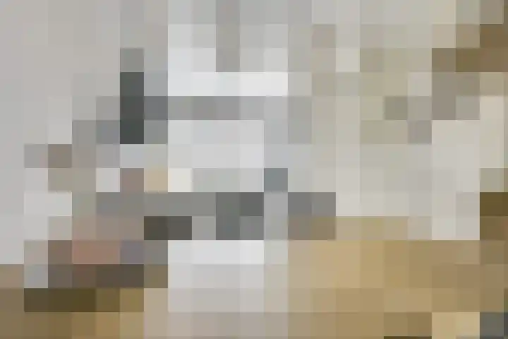 Tentwagendrift 24 Nieuwegein thumbnail 26