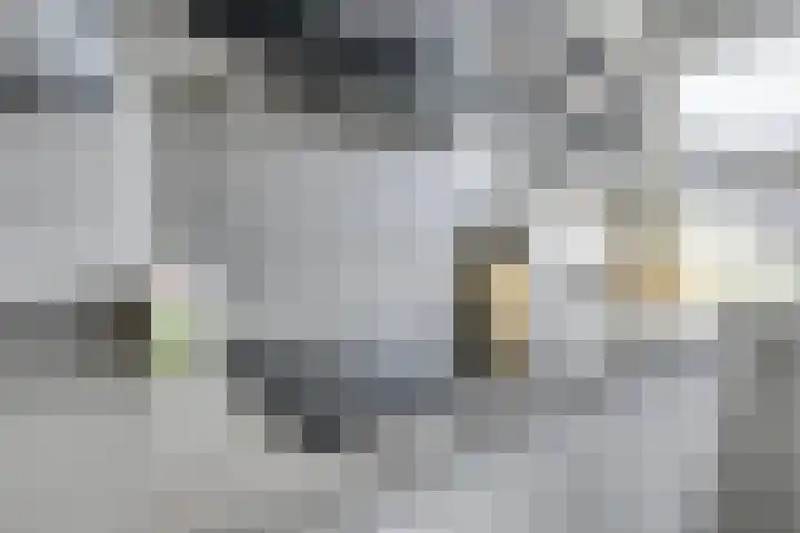 Tentwagendrift 24 Nieuwegein thumbnail 34
