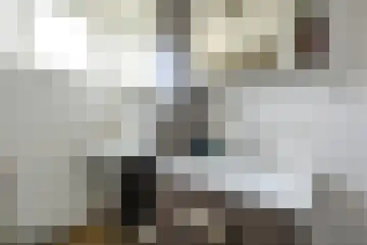 Tentwagendrift 24 Nieuwegein thumbnail 39