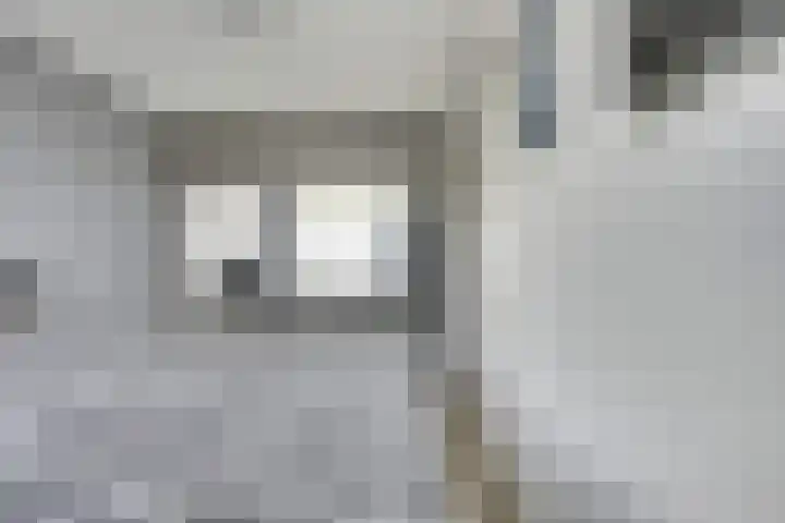 Tentwagendrift 24 Nieuwegein thumbnail 46