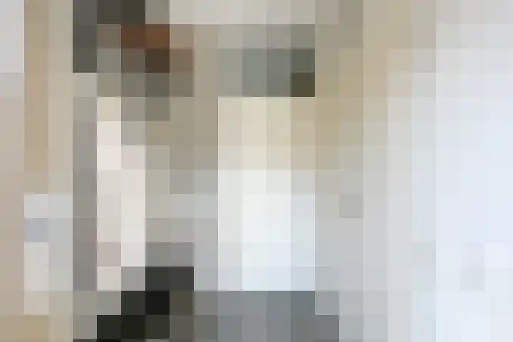 Tentwagendrift 24 Nieuwegein thumbnail 5