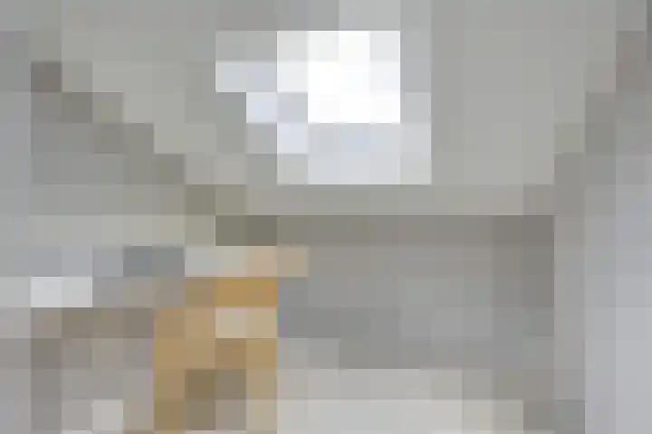 Tentwagendrift 24 Nieuwegein thumbnail 55