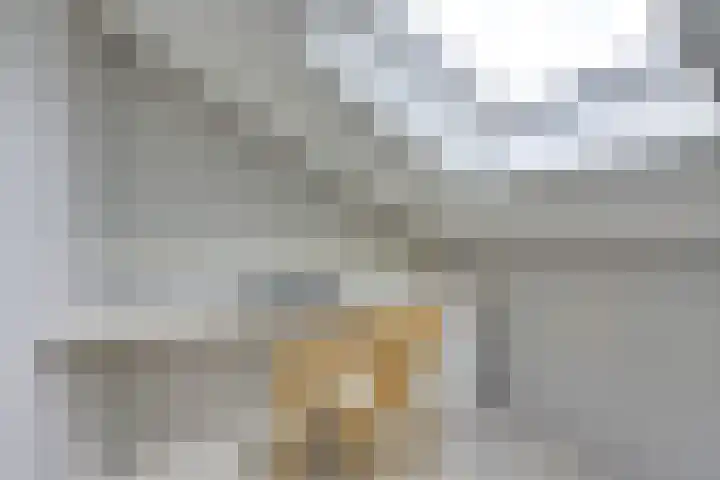 Tentwagendrift 24 Nieuwegein thumbnail 56