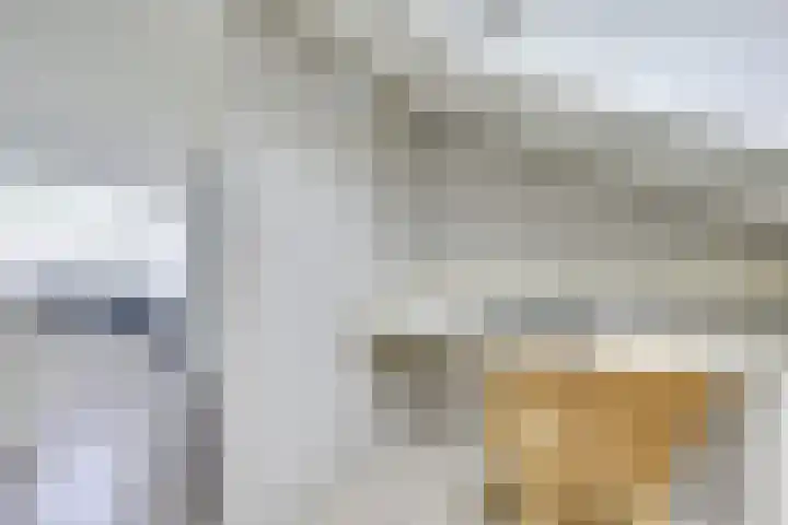 Tentwagendrift 24 Nieuwegein thumbnail 57