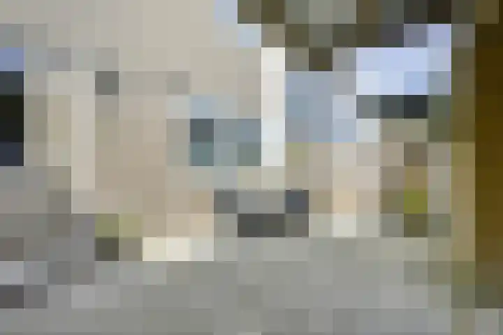 Tentwagendrift 24 Nieuwegein thumbnail 59