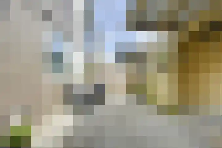 Tentwagendrift 24 Nieuwegein thumbnail 63
