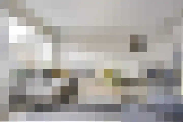 Tentwagendrift 24 Nieuwegein thumbnail 8