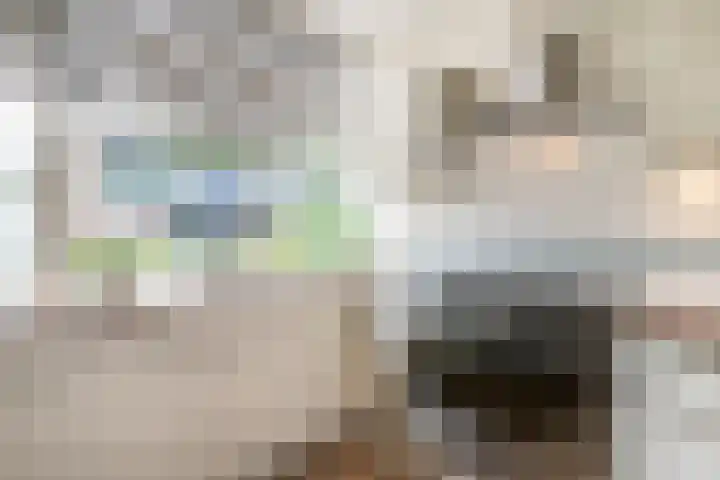 Tentwagendrift 29 Nieuwegein thumbnail 13