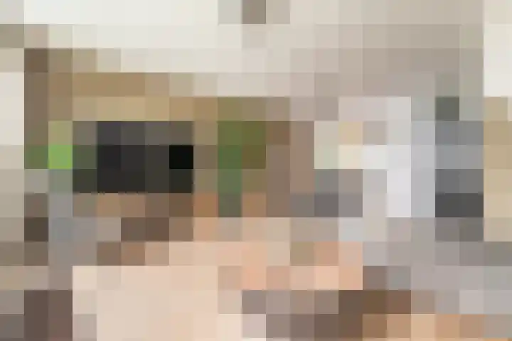 Tentwagendrift 29 Nieuwegein thumbnail 7