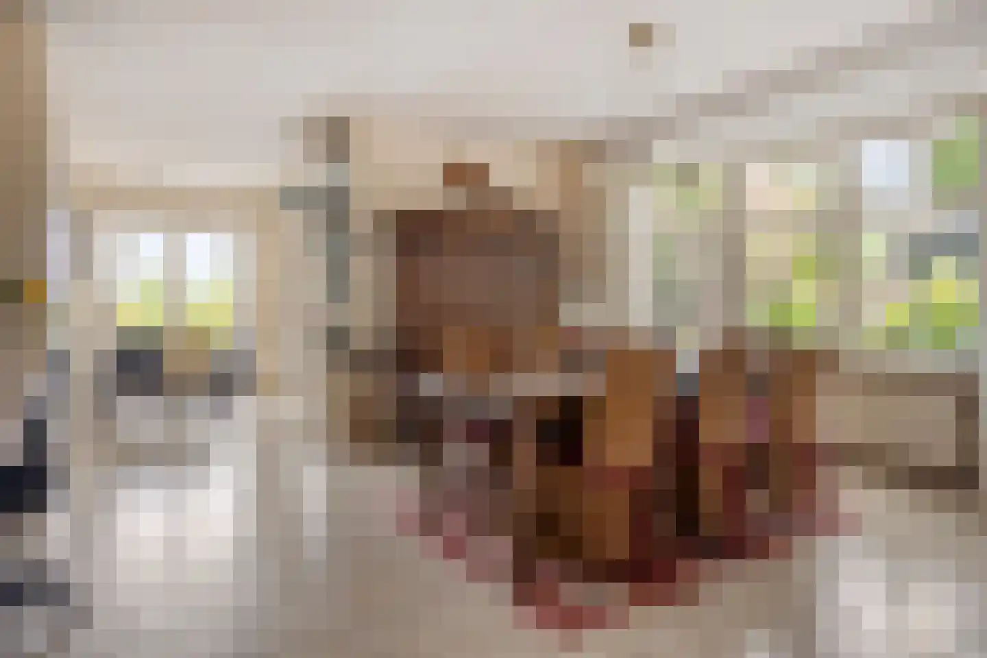 Tentweg 137 Stolwijk thumbnail 12