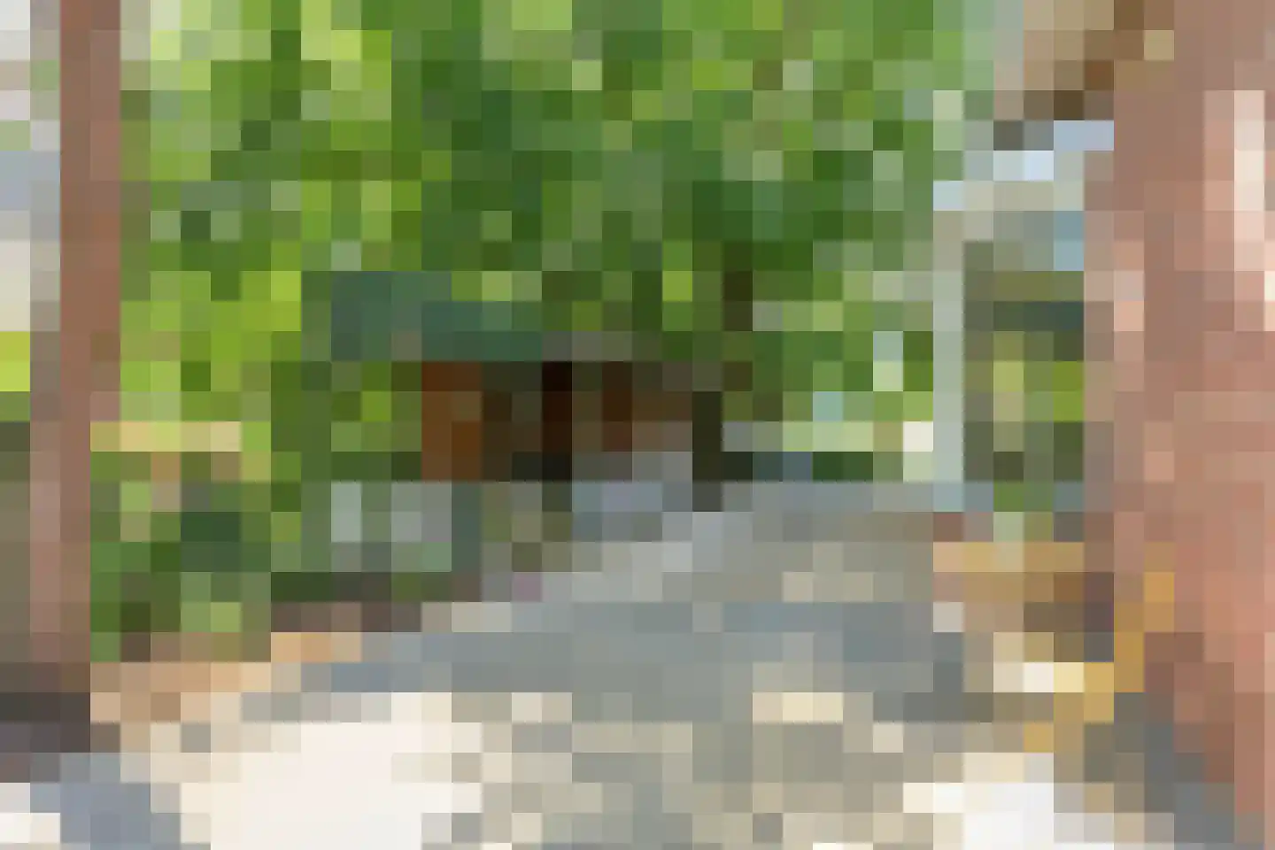 Tentweg 137 Stolwijk thumbnail 45