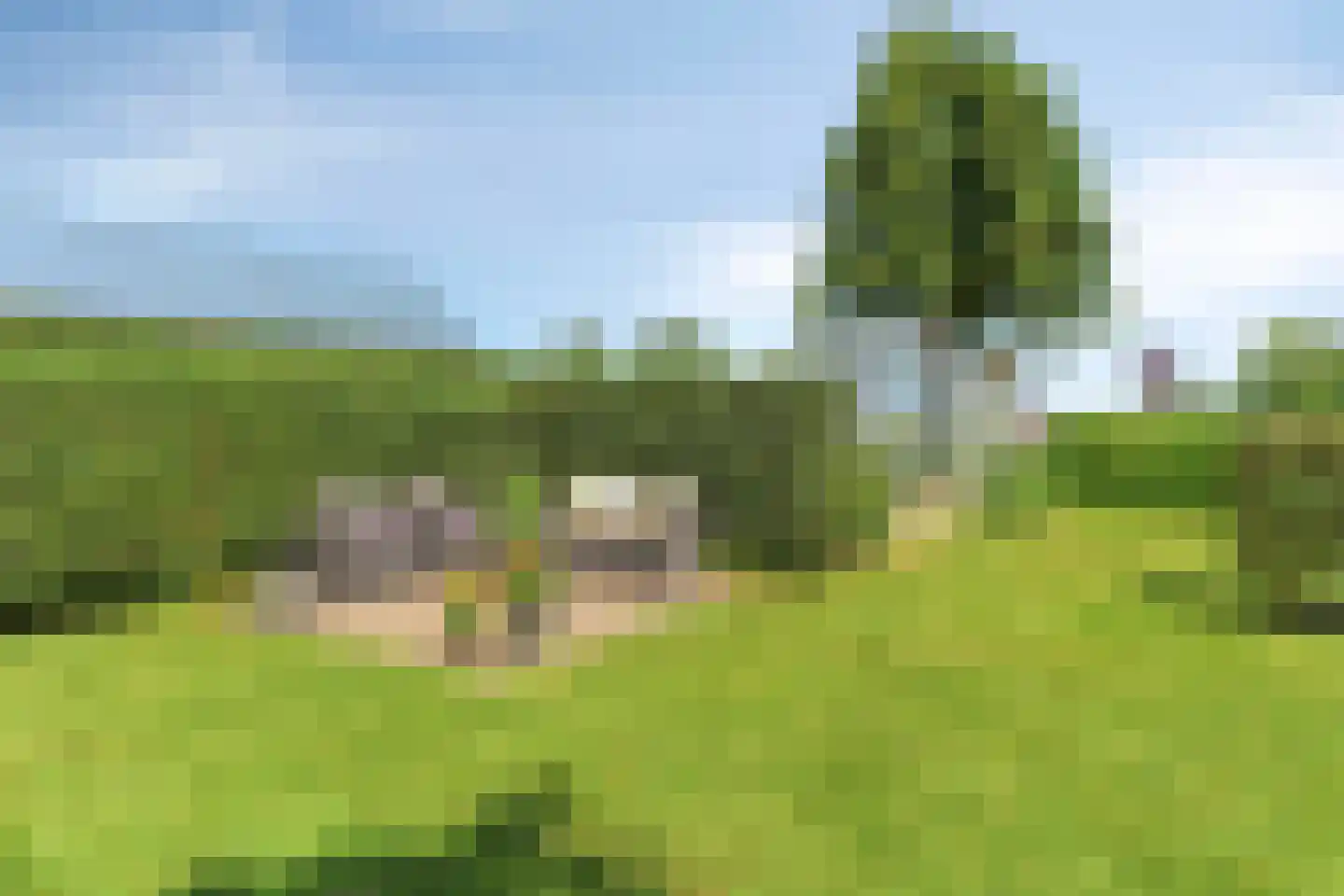Tentweg 137 Stolwijk thumbnail 60