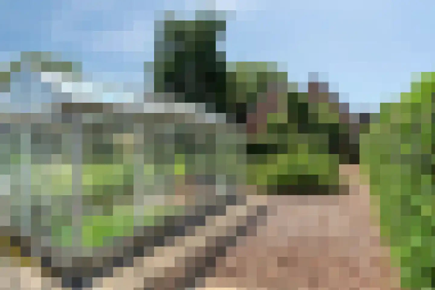Tentweg 137 Stolwijk thumbnail 61