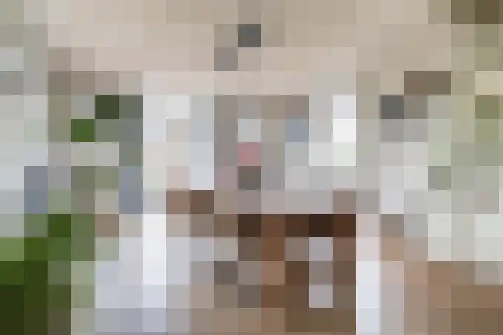 Tentweg 19 Stolwijk thumbnail 18