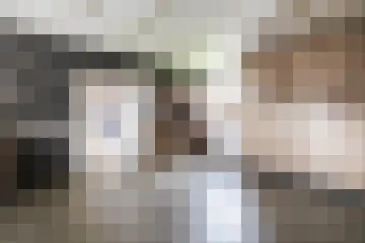 Tentweg 19 Stolwijk thumbnail 25