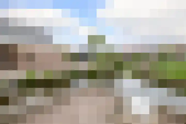 Tentweg 19 Stolwijk thumbnail 42