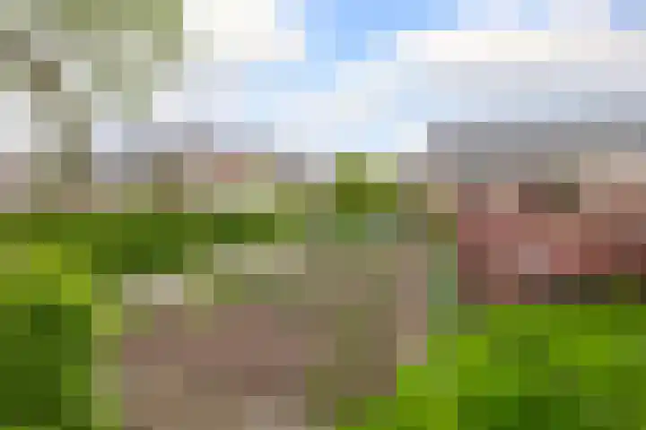 Tentweg 19 Stolwijk thumbnail 43