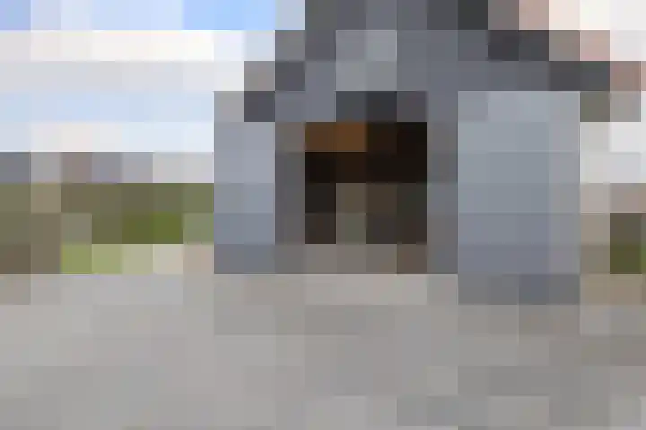 Tentweg 19 Stolwijk thumbnail 45