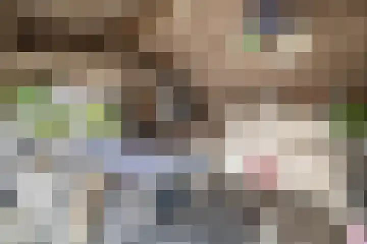Tentweg 19 Stolwijk thumbnail 47