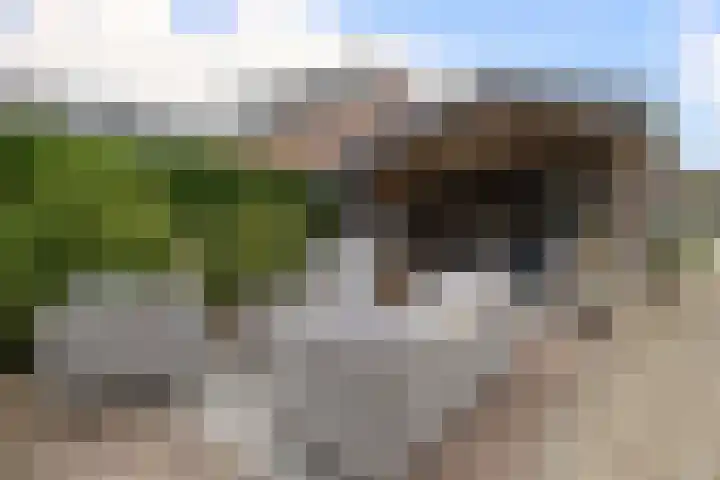 Tentweg 19 Stolwijk thumbnail 50