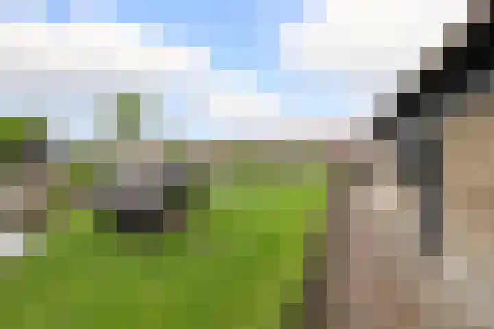 Tentweg 19 Stolwijk thumbnail 52
