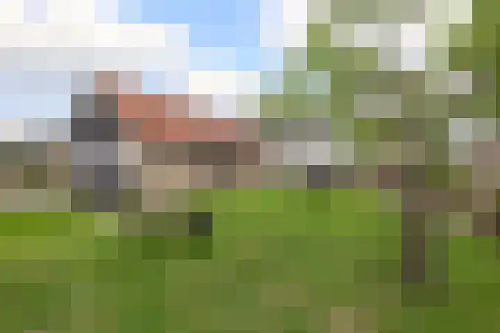 Tentweg 19 Stolwijk thumbnail 60