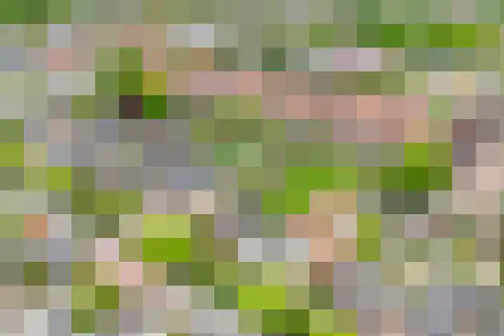 Tentweg 19 Stolwijk thumbnail 61