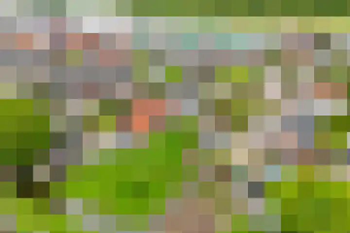 Tentweg 19 Stolwijk thumbnail 62