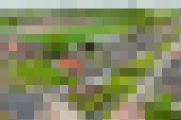 Tentweg 19 Stolwijk thumbnail 64
