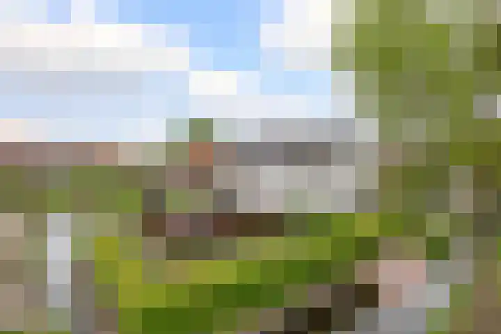 Tentweg 19 Stolwijk thumbnail 65