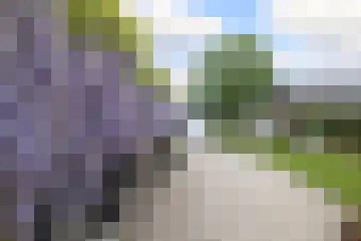 Tentweg 19 Stolwijk thumbnail 8