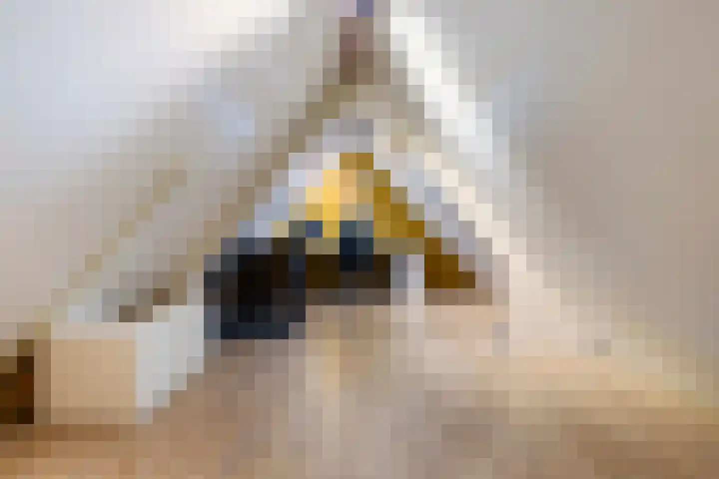 Tentweg 4 Stolwijk thumbnail 56