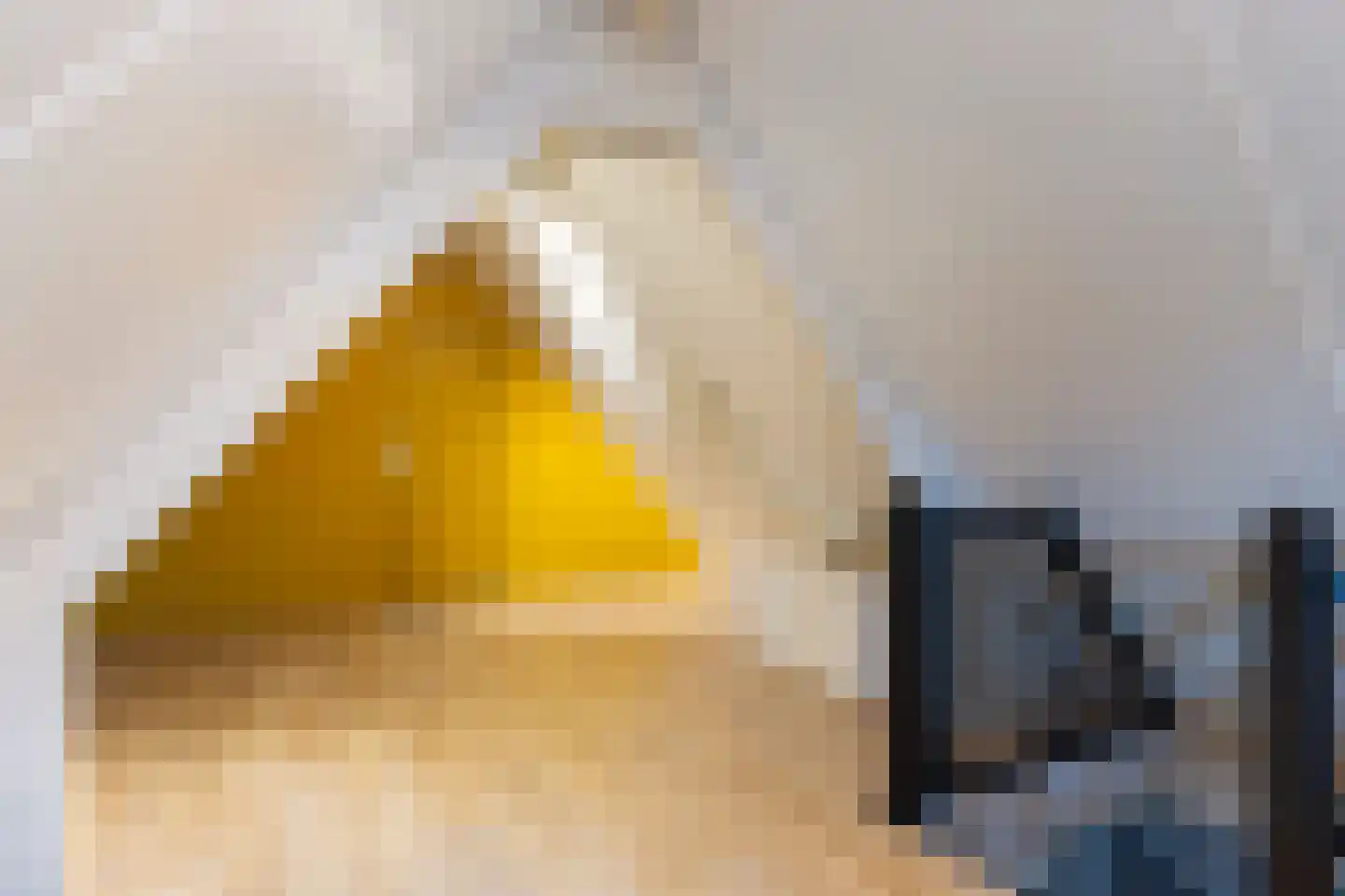 Tentweg 4 Stolwijk thumbnail 58