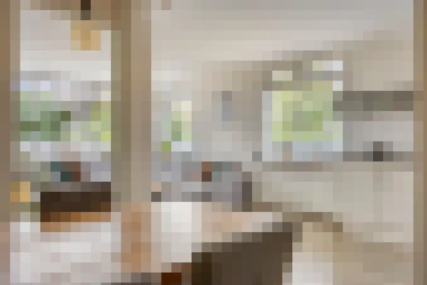 Tentweg 73 Stolwijk thumbnail 12