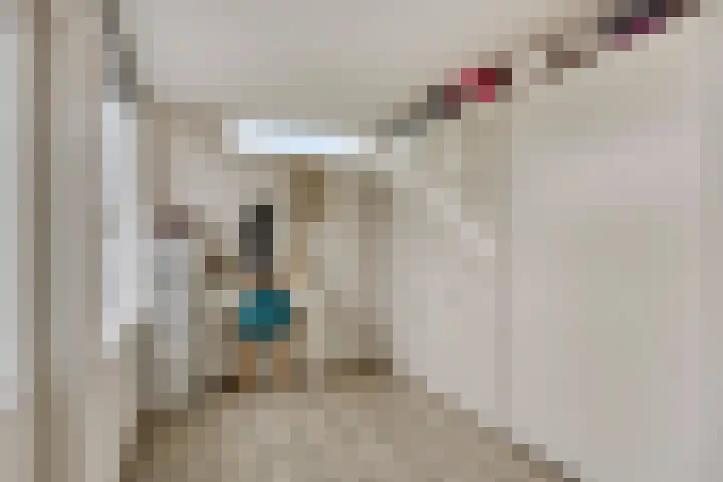 Tentweg 73 Stolwijk thumbnail 17