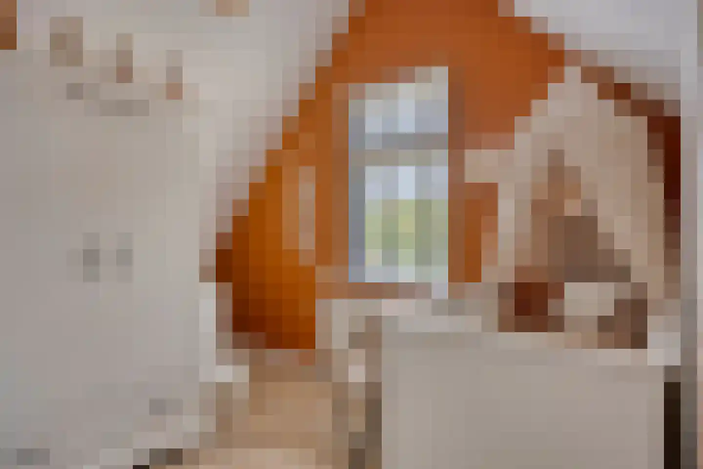 Tentweg 73 Stolwijk thumbnail 23
