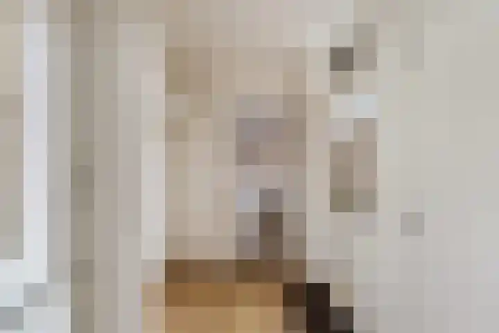 Tentweg 93 Stolwijk thumbnail 18