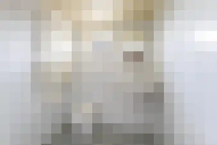 Tentweg 93 Stolwijk thumbnail 30