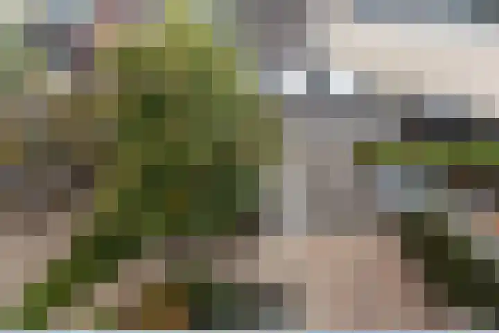 Tentweg 93 Stolwijk thumbnail 32