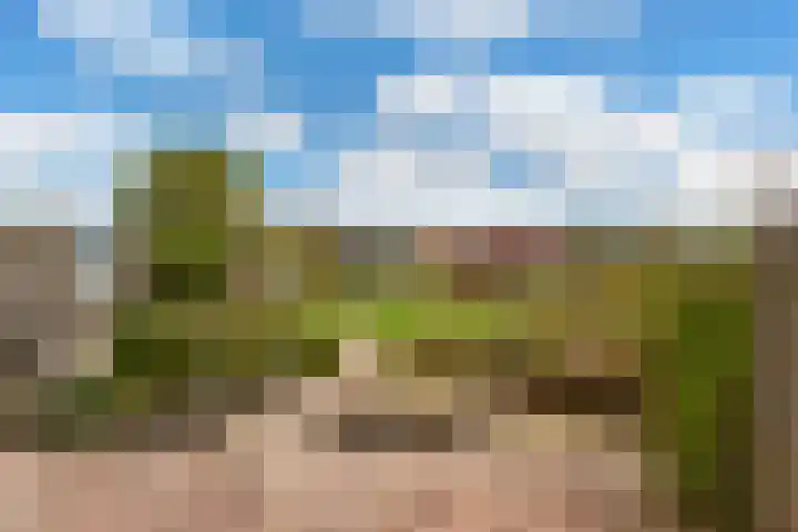 Tentweg 93 Stolwijk thumbnail 39