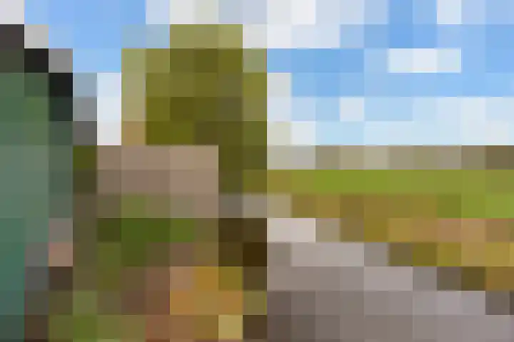 Tentweg 93 Stolwijk thumbnail 47