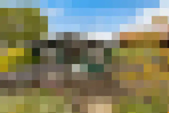 Tentweg 93 Stolwijk thumbnail 51